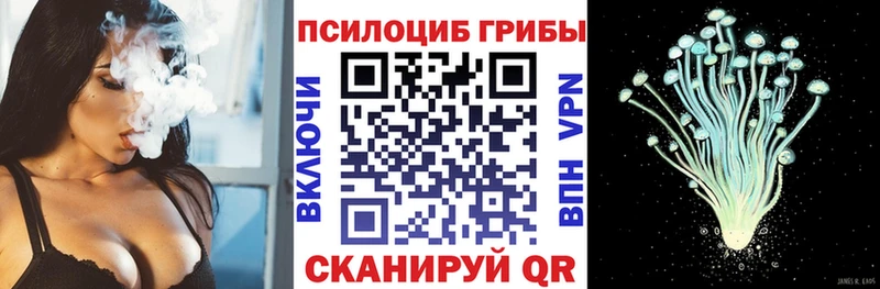 Псилоцибиновые грибы мухоморы  где купить   Олонец 